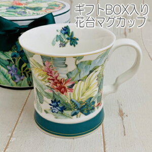 MtgBOXԑ}OJbv {^jJCA[f j[{[`Ci 300ml }O }OJbv Mtg Vg GWF d tFA[ o [Y KN