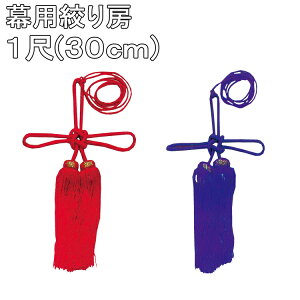 pi[iEԁj 1(30cm) l  [ _Ж g