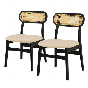 y0̂ 24ԌIő20%OFFN[|zzIz^ _CjO`FA 2rZbg FL-8654-2S 46.5cm s54.5cm 76cm ʍ42cm VR `FA ֎q \t@ x` _CjO r