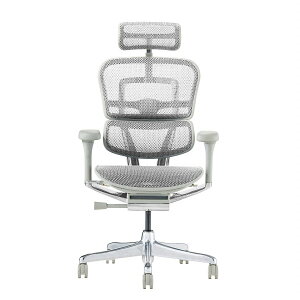 �G���S�q���[�}�� �v��2 �w�b�h���X�g�t�� �V��� Ergohuman PRO2 High �I�t�B�X�`�F�A ���@�\�`�F�A ���@�\ �����o�[�T�|�[�g �n�C�u���b�h ���N���C�j���O ���ʏ��~ ���s���� �A�[������ �w�b�h