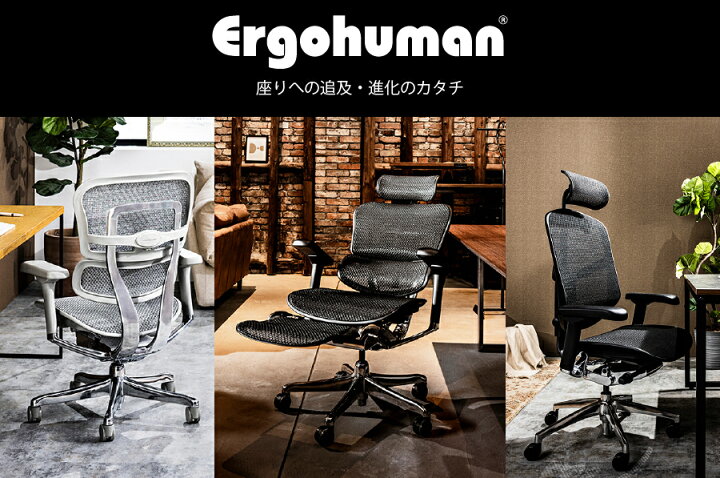 楽天市場】エルゴヒューマン エンジョイ2 ヘッドレスト付属モデル 