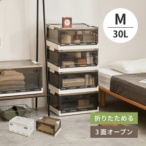 �L���X�^�[�t�� ���[�{�b�N�X PS100 M�T�C�Y 30L ��49.5cm ���s��35.5cm ����23.5cm �P�i �Z�b�g�̔� 3�ʃI�[�v�� �X���C�h���b�N �X�^�b�L���O �d�˒u�� �܂��� �ߑ��P�[�X �ߗގ��[ �����h���[��