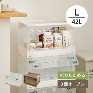 �L���X�^�[�t�� ���[�{�b�N�X PS100 L�T�C�Y 42L ��53.5cm ���s��36cm ����30cm �P�i �Z�b�g�̔� 3�ʃI�[�v�� �X���C�h���b�N �X�^�b�L���O �d�˒u�� �܂��� �ߑ��P�[�X �ߗގ��[ �����h���[���b