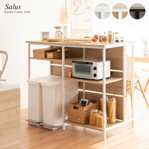 yyVX[p[SALE ԌIʃN[|zzIzLb`JE^[ Salus T[X KNT-1260 120cm s60cm 100cm JE^[e[u Lb`[ W ъ탉bN ACh