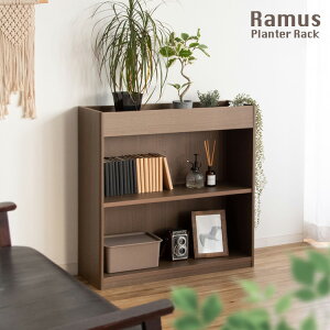 I[vbN Ramus [X PS-750 75cm s25cm 75cm v^[bN fBXvCbN I ϗtA It {I iCge[u [t R~bNbN [I CDbN I