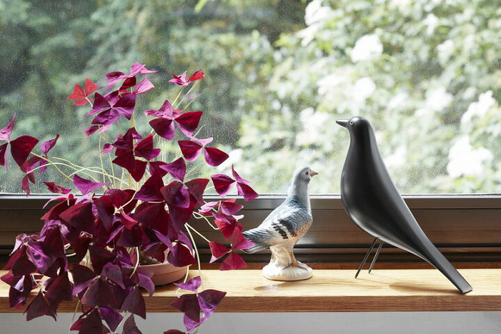 楽天市場】【正規品】Vitra ヴィトラ Eames House Bird イームズハウス 