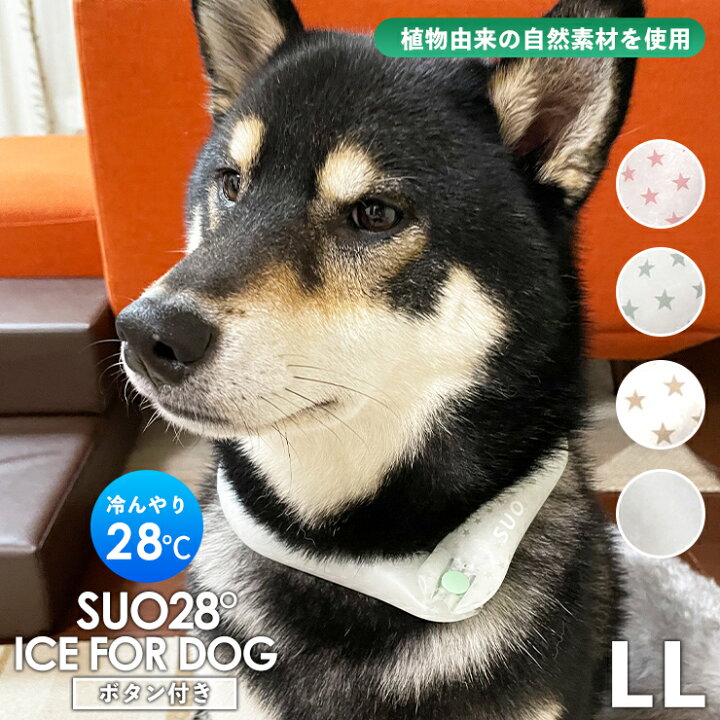 楽天市場 全品ok 最大7 Offクーポン Llサイズ ボタン付き Suo For Dogs 28 Ice Cool Ring アイスリング Suo 犬用 アイスリング 犬冷却 リング ひんやり 冷感 熱中症対策 ペット用 首 保冷 スオ アイスクールリング 体温調節 Interiorshop Cozy