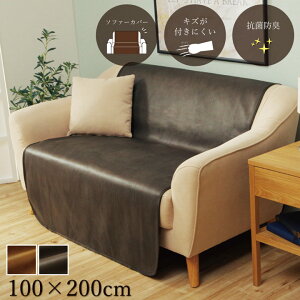 \t@[Jo[ XNb` R hL wʃ^Cv h~VɂȂɂ ɂ 100×200cm U[ 􂦂uE _[NuE CPqR