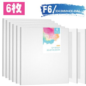 yzLoX{[h 6/Zbg F6 LoX GLoX 30.48X40.64cm {[hLoX AN  G  SҌ LoX p ރZbg LoX 