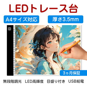 LED g[X iK A4 TCY Type-Cd A4TCY Cge[u g[VO CXg Cg{[h F } Aj gX LED _ChA[g gX g[X Tracing
