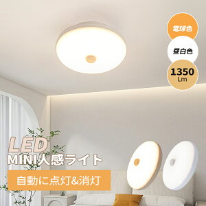 Vled RpNg VƖ V[OCg Ɩ lZT[ Cg  ^ ^ RZg ledd dF ZT[Cg u mini Lb` m a  q Eߏ 