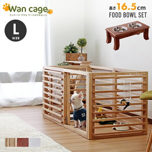 [] pQ[W ybgQ[W LTCY t[h{E Zbg Q[W ؐ T[N VR ybgT[N IvVp[cǉŊg\ ^ ^ tFX uE