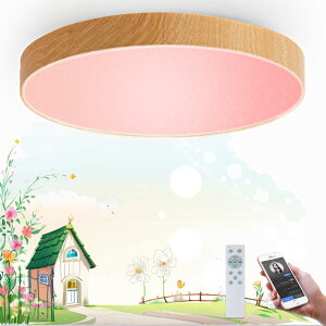 �y10��OFF�N�[�|���z�z���z�y���������zTAIGURAZ BT-MW LED �V�[�����O���C�g �ؖڒ� 6�� ������Bluetooth �X�s�[�J�[ ���y �V��Ɩ� 38