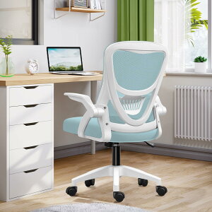 �y10��OFF�N�[�|���z�z���z�y���������z[EdoErgo] �I�t�B�X�`�F�A �֎q �e�����[�N ���Ȃ� ���ˏグ���A�[�����X�g �R���p�N�g ��105