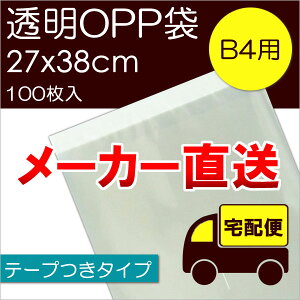 [J[ OPP yT-B-4z e[vF100 [֕s