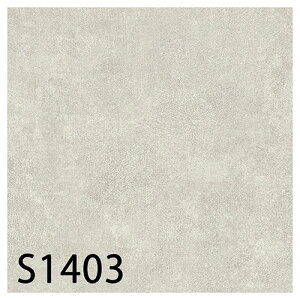 VR[ XܗpNbVtAbS1403ES1404iTJN[gj