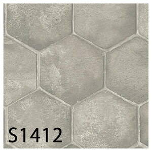 VR[ XܗpNbVtAbS1412ES1413iiԁFS5506ES5507jiOeB[j