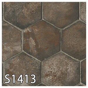 VR[ XܗpNbVtAbS1412ES1413iiԁFS5506ES5507jiOeB[j