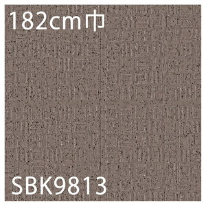 VR[ XܗpNbVtAbhV[g SBK9311ESBK9312ESBK9313ESBK9811ESBK9812ESBK9813iubNj2.5mm 135cmЁE182cm OΉ ό ϖ