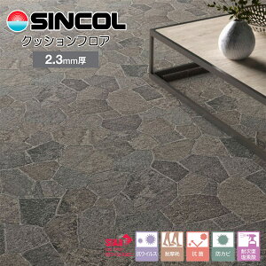 VR[ XܗpNbVtAbSXG1456iiԁFSXG5555jiS΁j