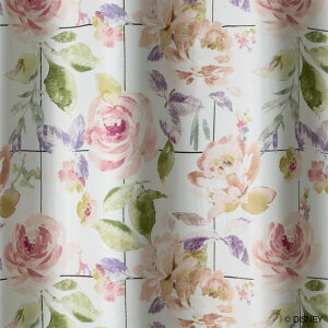 X~mG fBYj[ J[e ~bL[/[YObhiMICKEY/Rose gridj1 o KN  t[ ̃Obh h[v 킢 GKg Ռ