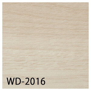 TQc tA^CbWD-2016EWD-2017iNXI[NjmP[Xn24