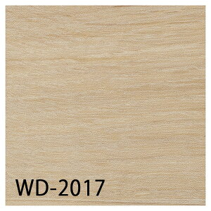 TQc tA^CbWD-2016EWD-2017iNXI[NjmP[Xn24