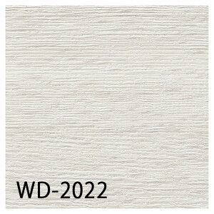 TQc tA^CbWD-2022EWD-2023ibL[I[NjiiԁFWD-1013EWD-1014j2.5mmmP[Xn24