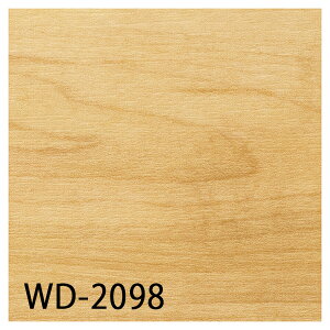 TQc tA^CbWD-2098EWD-2099iVK[CvjiiԁFWD-1063EWD-1064j2.5mmmP[Xn 24