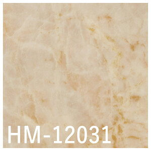 TQc H-FLOOR Zp NbVtA HM-12030EHM-12031EHM-12032i嗝΁jmiԁFHM-11117EHM-11118EHM-11119nώf_ R Ǝdグ tH[ ȒP  rj[ V[g gC