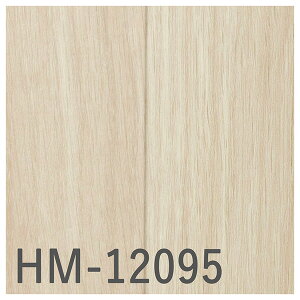 TQc H-FLOOR Zp NbVtA HM-12095EHM-12096ibNXI[NjmiԁFHM-11053EHM-11054nώf_ R Ǝdグ 1.8mm CFV[g ڃV[g rV[g ؖ