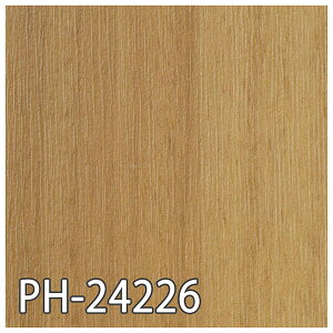 TQc SFLOOR Xܗp rV[g GX[EAbPH-24218EPH-24219EPH-24220EPH-24221EPH-24222EPH-24223EPH-24224EPH-24225EPH-24226EPH-24227iWgoEbhjmiԁFPH-22318`PH-22327n