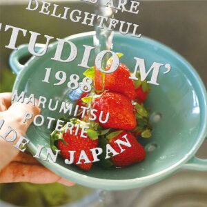 y9/4 20` X[p[SALE |Cg10{zX^WIG }~c|ebx[{EiBERRY BOWLjbR_[ ؂ t[c ؂̎  X^WIM
