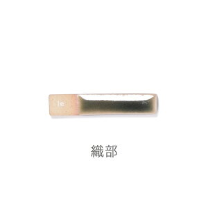 X^WIG }~c|ebJg[Xgiuj D/}bg/}bg mj[Ain X^WIM