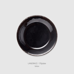 yX[p[SALE |Cg10{zX^WIG }~c|ebh[X 170v[giLANDRACE 170platejbێM 17cm EI[uEAEr^[ fU[g oPbg T_ M X^W