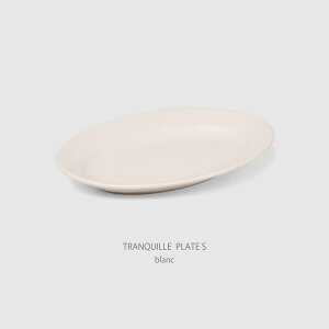 y10/4 20` }\P10{zX^WIG }~c|ebgL v[gSiTRANQUILLE PLATE Sjbȉ~M 22cm uELECfBS XC[c T_ M X^WIM
