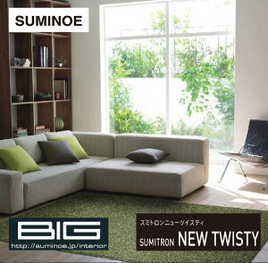 X~mG BIGb~l߃J[ybgEX~gEj[cCXeB / 6 (261×352cm) O J[ybg n Vv ϔM ~ suminoe SUMINOE Z]D AM[