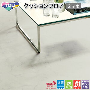  CFV[g-H ZpNbVtACF2M9656irARJjmiԁFCF2M9553n2m RECX t[O  lC