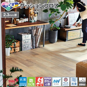  CFV[g-P XܗpNbVtA CF3704 itH[XGCWhV_[j R RECX hL Ռz y ɋ h ybgΉ h Ɗ hJr bNXsv