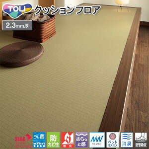  CFV[g-P XܗpNbVtA CF3737 miԁFCF3537nij  ʏ tA   diy tH[ a a rj y