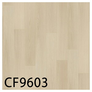  CFV[g-H ZpNbVtAECF9603ECF9604iRtB[I[NjRECX t[O  lC