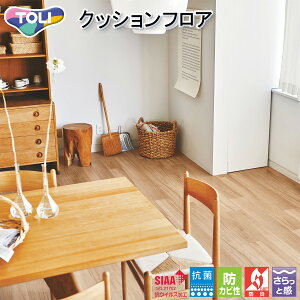  CFV[g-H ZpNbVtAECF9611ii`hCI[NjmiԁFCF9501nRECX t[O  lC