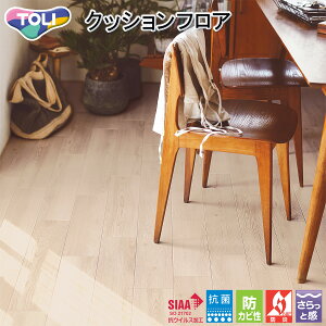  CFV[g-H ZpNbVtAECF9619izCgVFipCjmiԁFCF9515nRECX t[O  lC k