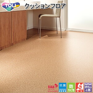  CFV[g-H ZpNbVtAECF9645iRNjmiԁFCF9546nRECX t[O  lC