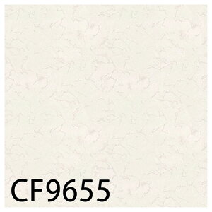  CFV[g-H ZpNbVtAECF9655ECF9656irARJjmiԁFCF9552ECF9553nRECX t[O  lC