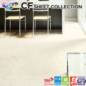  CFV[g-H ZpNbVtAECF9657iAxXJ[gjmiԁFCF9554nRECX t[O  lC