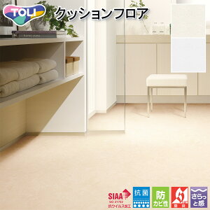  CFV[g-H ZpNbVtAECF9658i}[ujmiԁFCF9555nRECX t[O  lC