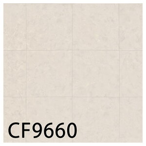 CFV[g-H ZpNbVtAECF9660ECF9661iIjbNXjmiԁFCF9557ECF9558n RECX t[O  lC