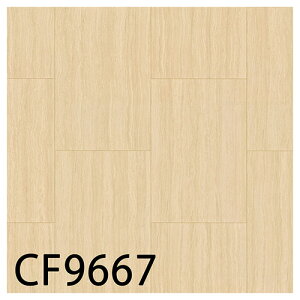  CFV[g-H ZpNbVtAECF9666ECF9667iZxWejmiԁFCF9563ECF9564nRECX t[O  lC