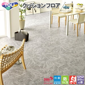  CFV[g-H ZpNbVtAECF9668iO[}[ujmiԁFCF9565nRECX t[O  lC